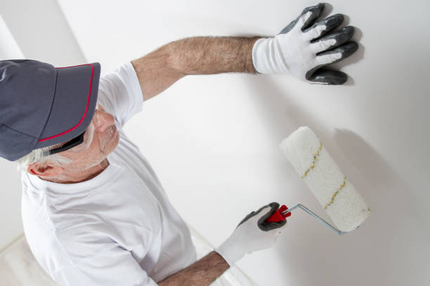 Best Mold Removal for HVAC Installations  in Huntland, TN
