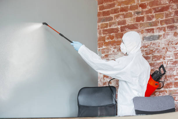 Best Air Quality Testing for Mold Spores  in Huntland, TN