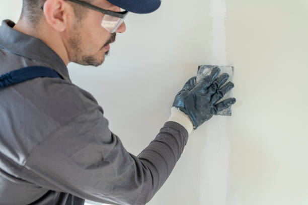 Best Water Damage & Mold Remediation  in Huntland, TN