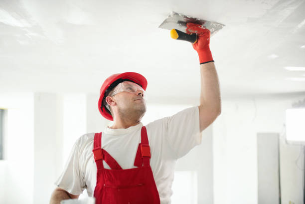 Best Commercial Mold Inspection  in Huntland, TN