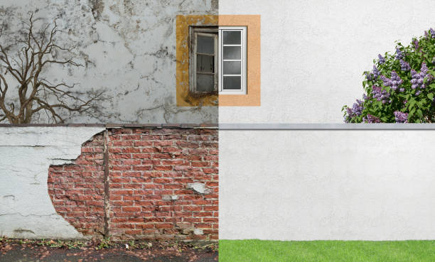 Huntland, TN Mold Removal Company